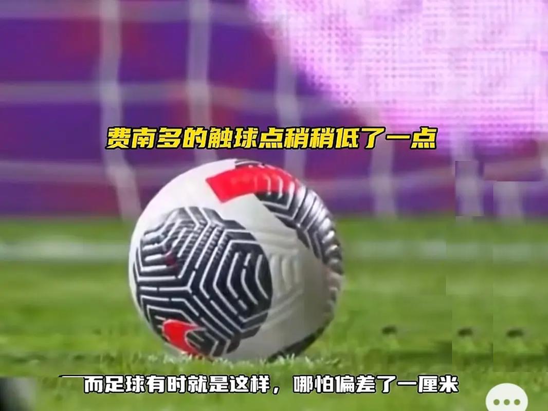 在职业生涯